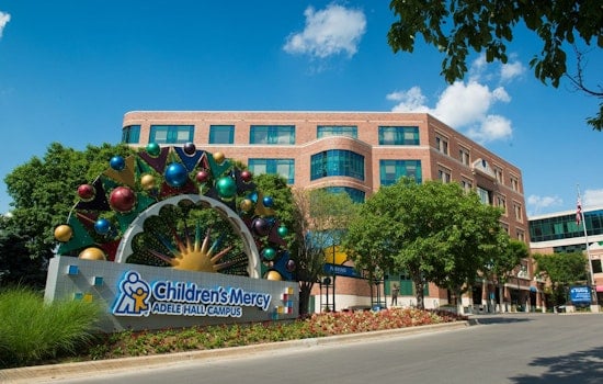 Overland Park Girl, 6, Faces Cancer Treatment — Painted Rocks Offer Support