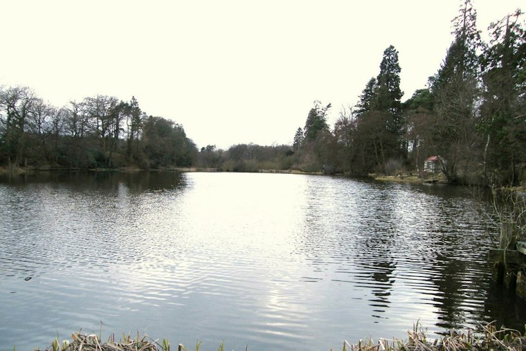 Oxford Fisherman Dies After Canoe Flips on Lowes Pond