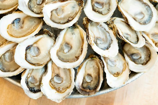 Oyster Ice Cream Returns To New Orleans Thursday For Coastal Fundraiser