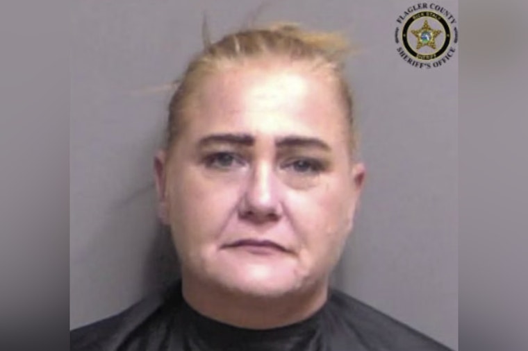 Palm Coast I-95 Stop Nets Stolen Car, Meth Hidden In Bra, Cops Say