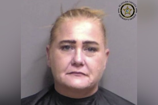 Palm Coast I-95 Stop Nets Stolen Car, Meth Hidden In Bra, Cops Say