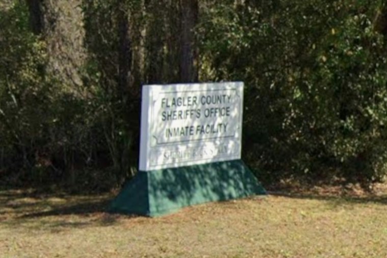Palm Coast Woman, 40, Kicks Deputy in Chest, Passes Out on Way to Jail