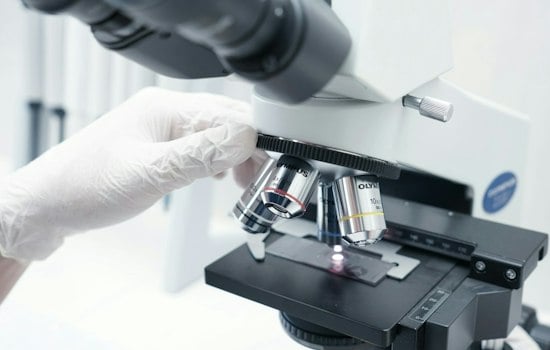Palo Alto's Frazier Life Sciences Piles $1.1B Into Public Biotech Fund