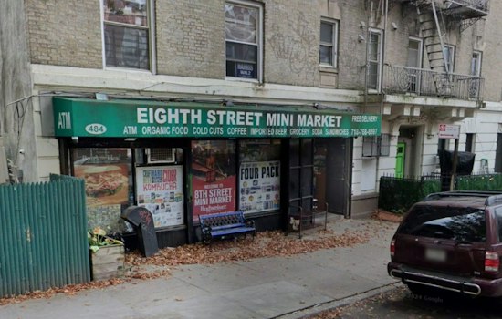 Park Slope Bodega Kitten Jabal Snatched by Couple, Neighbors Demand Return