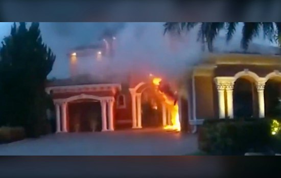 Parkland Deputies Save Family of Six Dogs From Burning Home