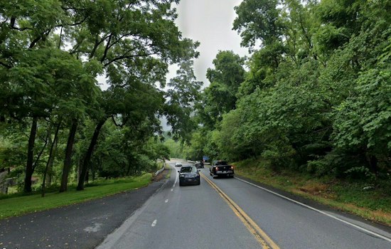 Parkland Runner Critically Hurt as Tree Snaps at Little Lehigh Parkway