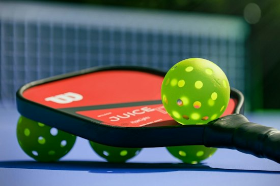 Parma Heights Courts Reopen With Pickleball Boom, but Fencing Still Missing