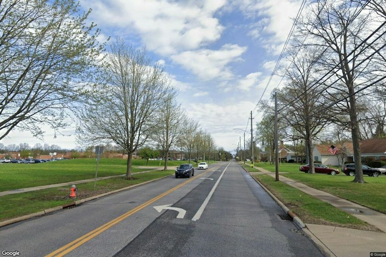 Parma Man Tased After Kicking at K-9 in Westlake Standoff