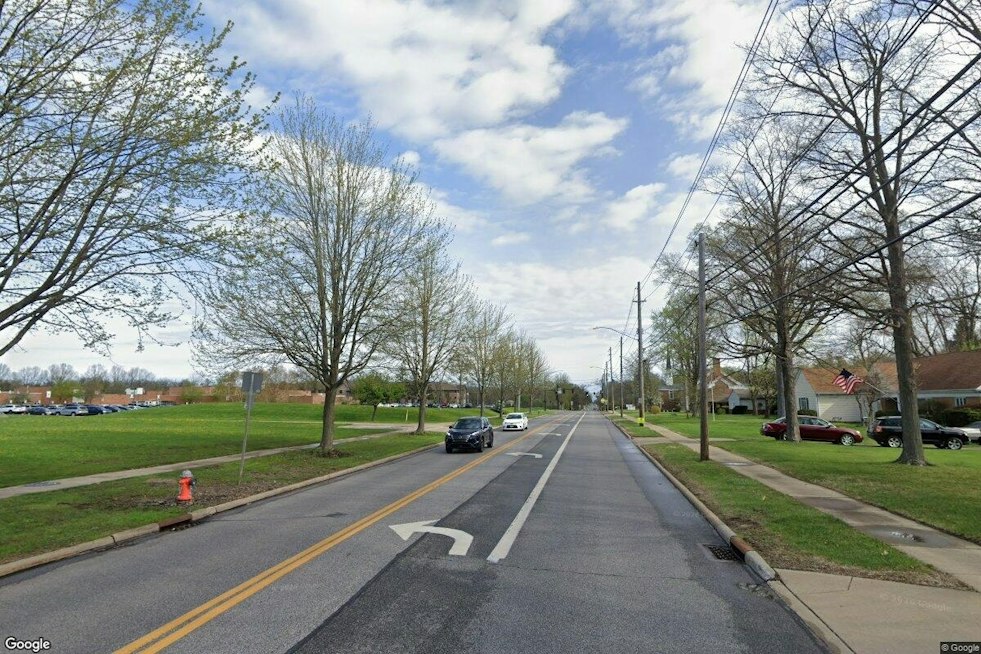 Parma Man Tased After Kicking at K-9 in Westlake Standoff