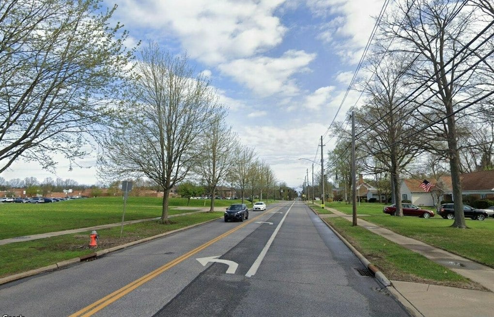 Parma Man Tased After Kicking at K-9 in Westlake Standoff
