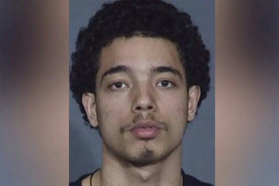 Parolee Charged in Bronx and Brooklyn Killings Held Without Bail After Indictment