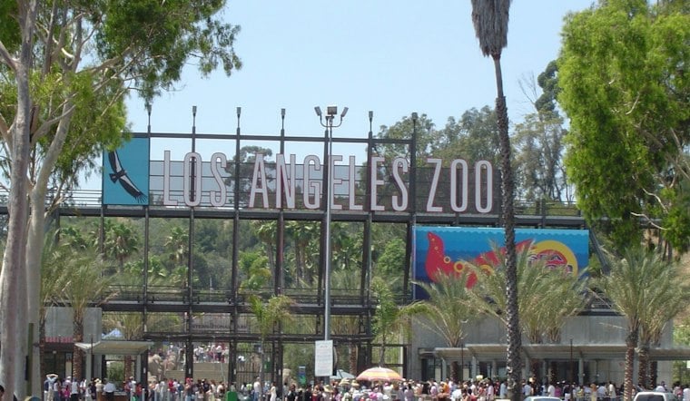 Pasadena Boy, 12, Wins $20K Nearly Three Years After LA Zoo Carousel Injury