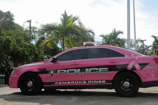 Pembroke Pines Mom Busted for DUI as Daughter, 5, Hangs Out Car Window