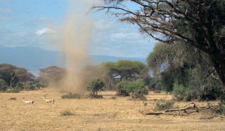 Perris Paragliding Instructor Films Dust Devil Near Grass Landing Zone She Just Cleared