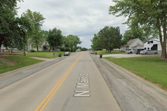 Perryville Dog Attack Sends Toddler, 12-Year-Old on Helicopters to St. Louis