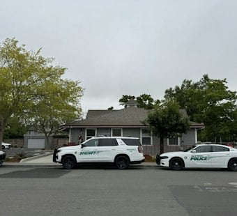 Petaluma Woman, 45, Arrested After Admitting She Set Grass Fire Near Her Camp