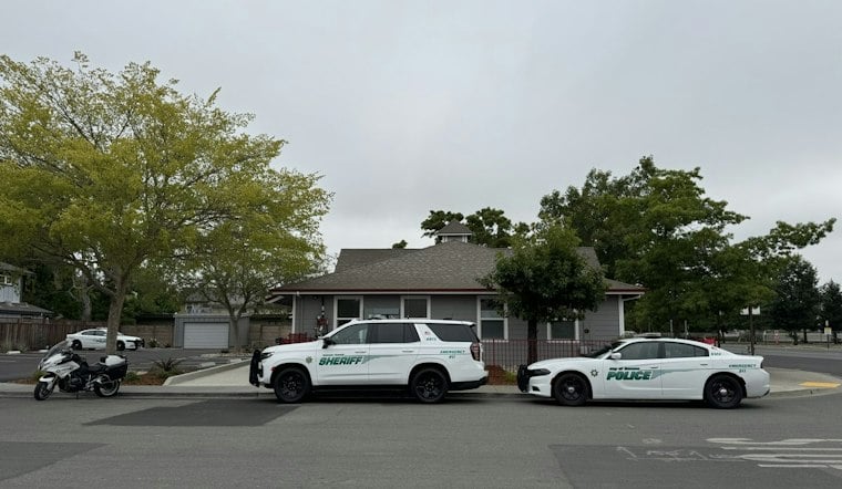 Petaluma Woman, 45, Arrested After Admitting She Set Grass Fire Near Her Camp