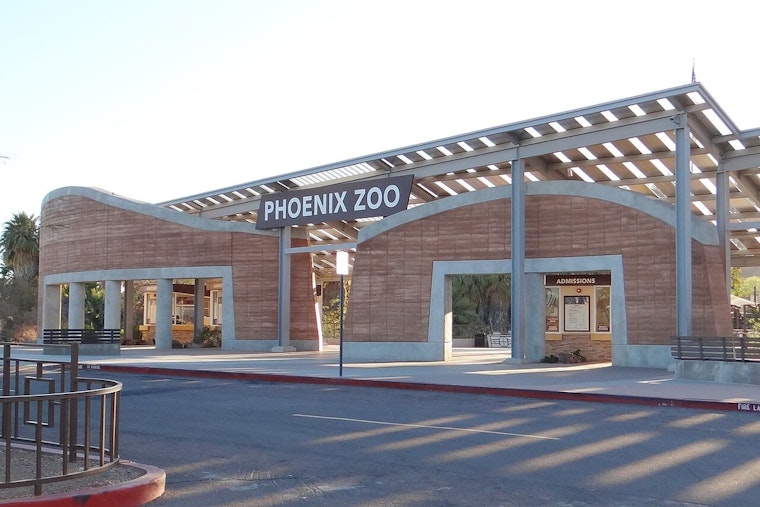 Phoenix Zoo Lets 500 Dogs Loose on Its Trails This November