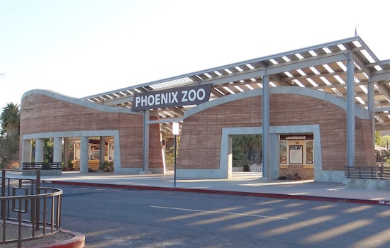 Phoenix Zoo Lets 500 Dogs Loose on Its Trails This November