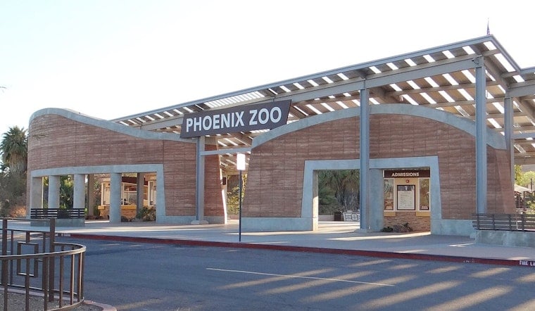 Phoenix Zoo Lets 500 Dogs Loose on Its Trails This November