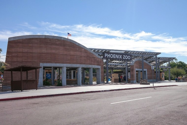 Phoenix Zoo Welcomes 34 Endangered Ferret Kits, Its Best Year Since 1999