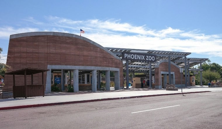 Phoenix Zoo Welcomes 34 Endangered Ferret Kits, Its Best Year Since 1999