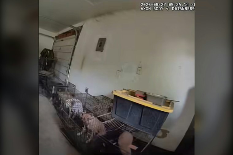 Pierce County ‘Rescue’ Bust Uncovers 15 Dogs, 2 Cats Locked in Garages