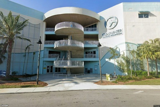 Pinellas Beach Patrols Before Dawn Help Clearwater Aquarium Log Record 405 Turtle Nests