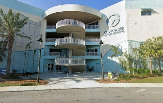 Pinellas Beach Patrols Before Dawn Help Clearwater Aquarium Log Record 405 Turtle Nests