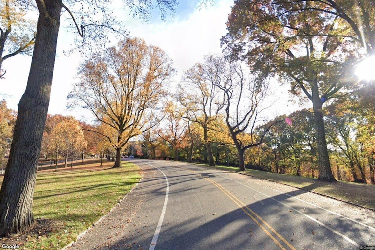 Pittsburgh Scraps Public Works Plan for Schenley Park's Historic Fruit Loop