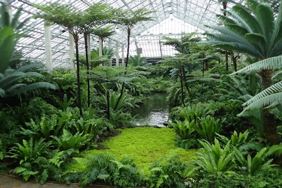 Plantasia Turns Garfield Park Conservatory Into a Synth Jungle This Week