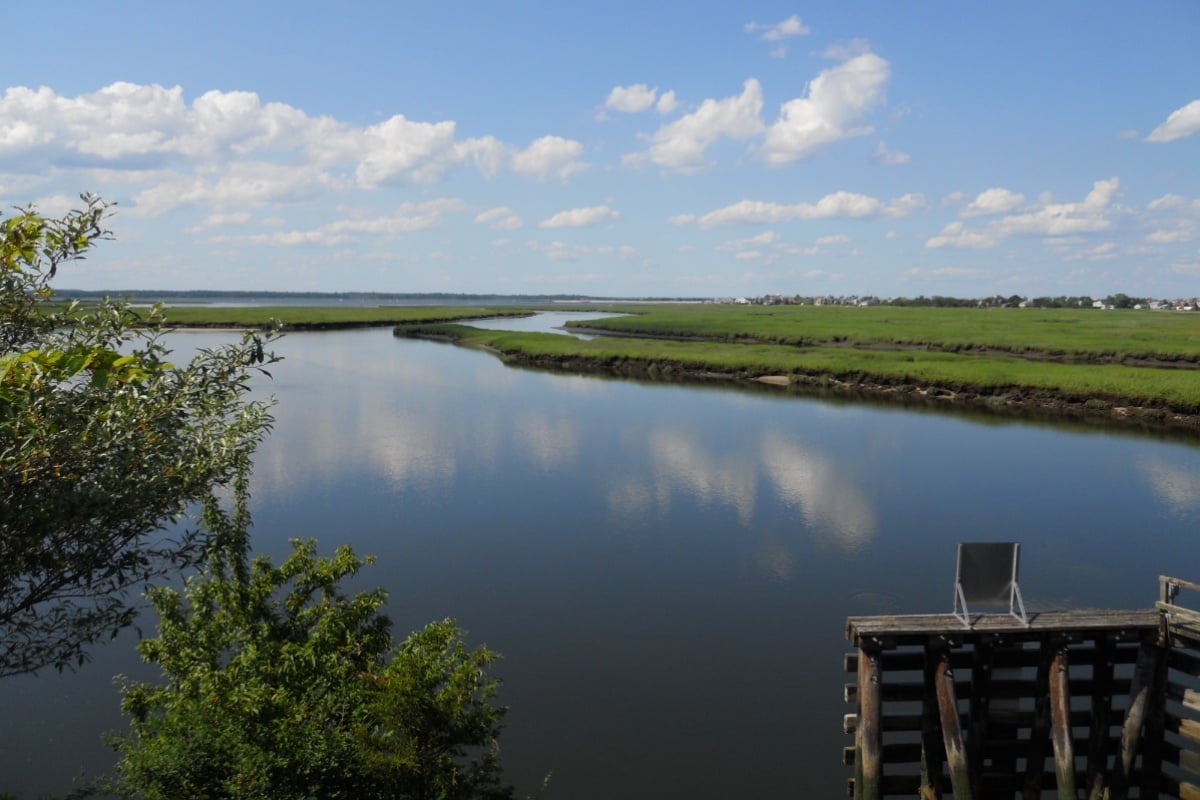 Plum Island Sound Clammers Win 72 More Harvest Days as Water Quality Rebounds