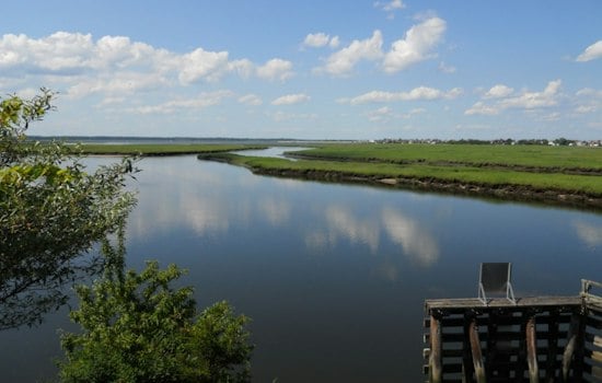 Plum Island Sound Clammers Win 72 More Harvest Days as Water Quality Rebounds