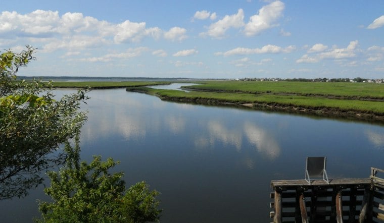 Plum Island Sound Clammers Win 72 More Harvest Days as Water Quality Rebounds