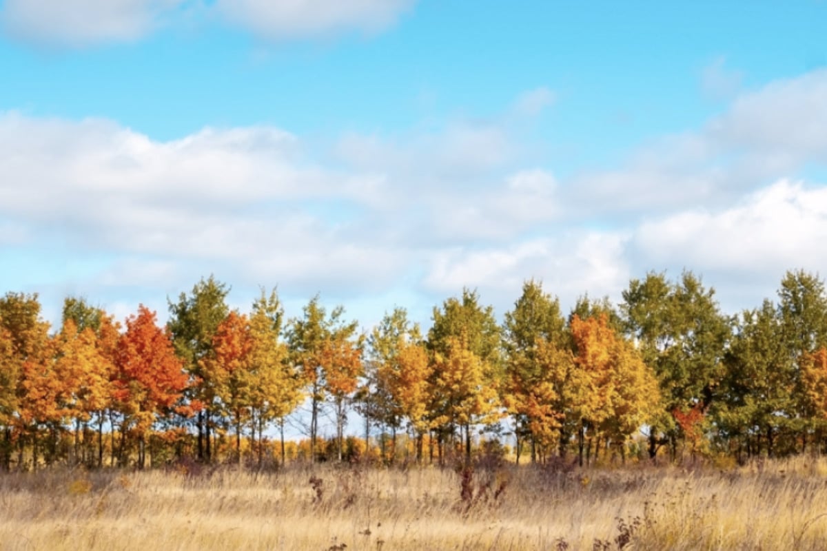 Portland Autumns Are Warming Fast, and the Most Vulnerable Are at Risk