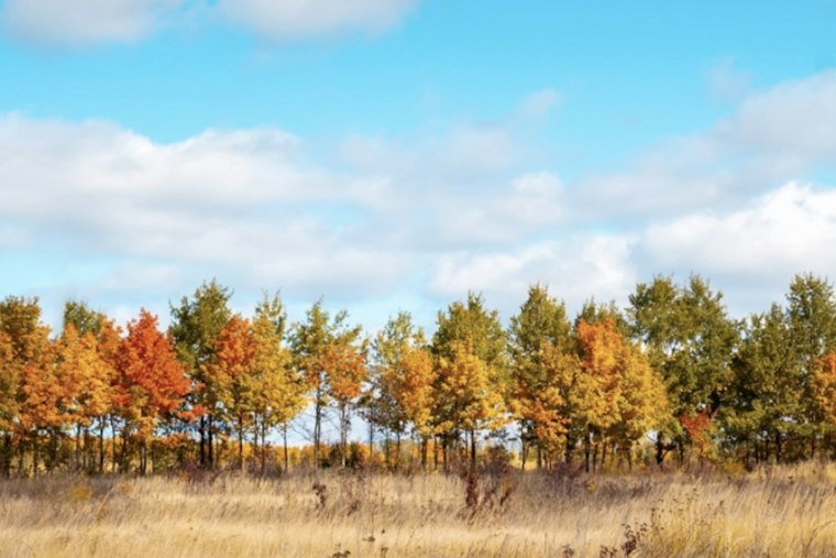 Portland Autumns Are Warming Fast, and the Most Vulnerable Are at Risk