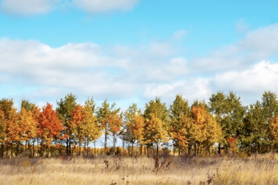 Portland Autumns Are Warming Fast, and the Most Vulnerable Are at Risk
