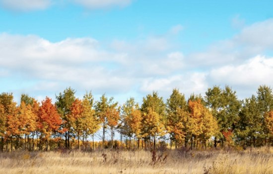 Portland Autumns Are Warming Fast, and the Most Vulnerable Are at Risk