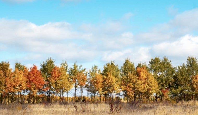 Portland Autumns Are Warming Fast, and the Most Vulnerable Are at Risk