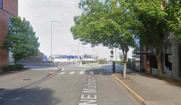 Portland Man, 25, Accused of Slingshotting Rocks at Couple, Shattering MAX Windows