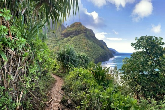 Princeville's Hideaways Trail Reopens After Hurricane-Delayed Rehab Drags Past Summer