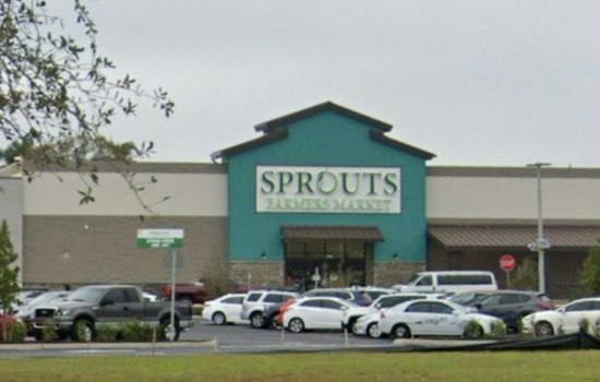 Prior Theft Convictions Make Largo Theft Charge a Felony