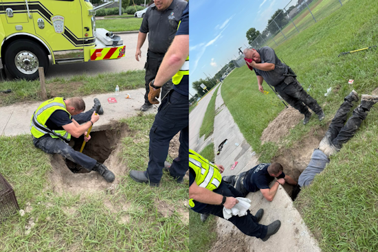 Puppy Rescue Near Houston School Exposes Sidewalk Collapse Hazard