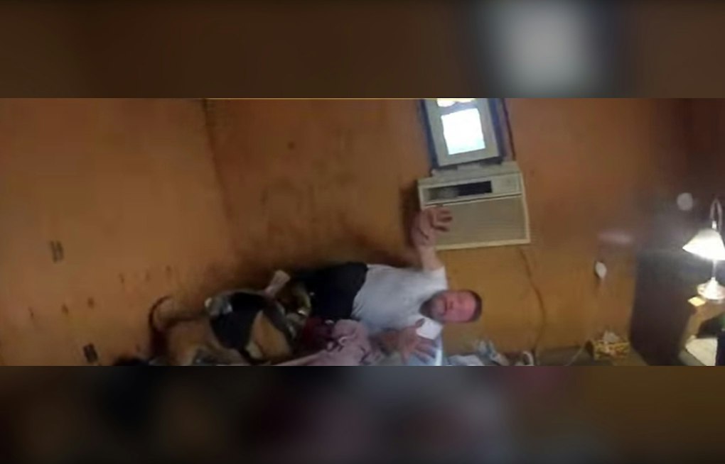 Ravenna Fugitive Hides in House, K-9 Hector Finds Him in 11 Seconds
