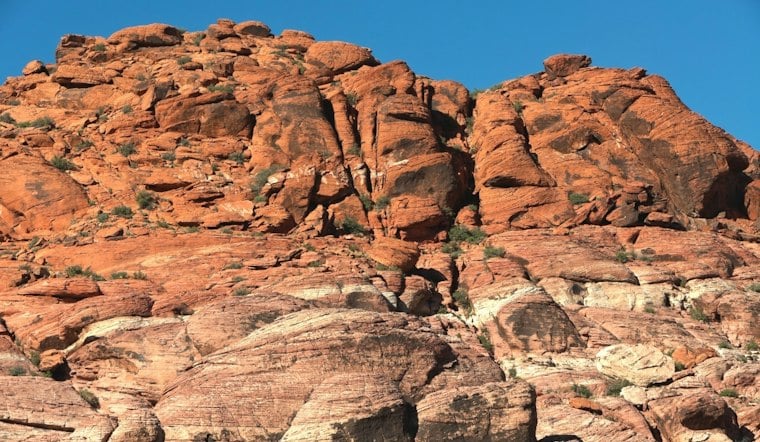 Red Rock Canyon Lost Its Wild Mustangs More Than 30 Years Ago — They Never Came Back