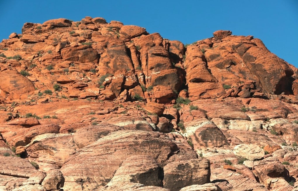 Red Rock Canyon Lost Its Wild Mustangs More Than 30 Years Ago — They Never Came Back