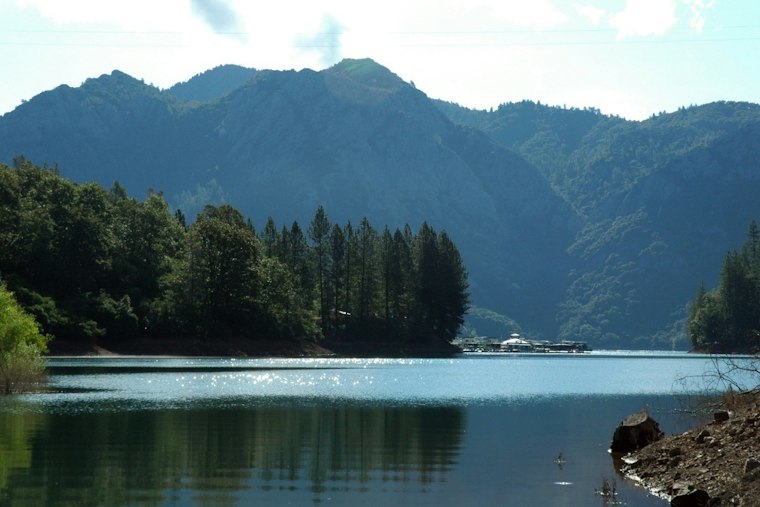 Redding Man, 60, Drowns Saving Dog That Jumped Into Shasta Lake