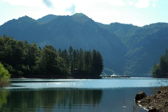 Redding Man, 60, Drowns Saving Dog That Jumped Into Shasta Lake