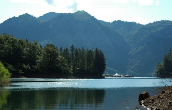 Redding Man, 60, Drowns Saving Dog That Jumped Into Shasta Lake