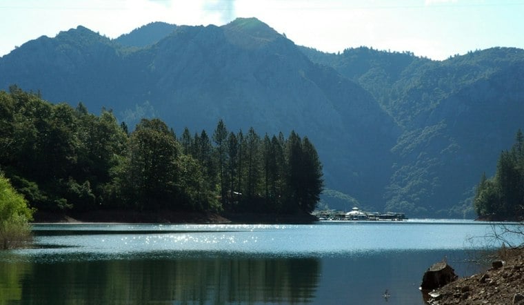 Redding Man, 60, Drowns Saving Dog That Jumped Into Shasta Lake